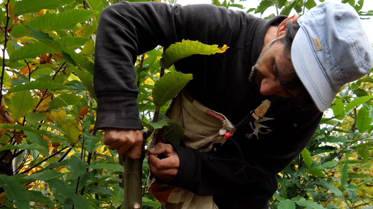 ECOMNEWS tweet media