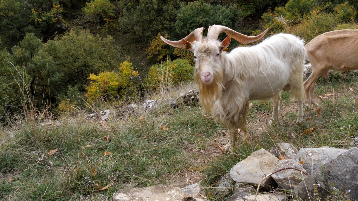 ECOMNEWS tweet media