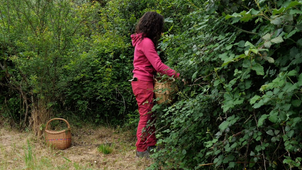 ECOMNEWS tweet media