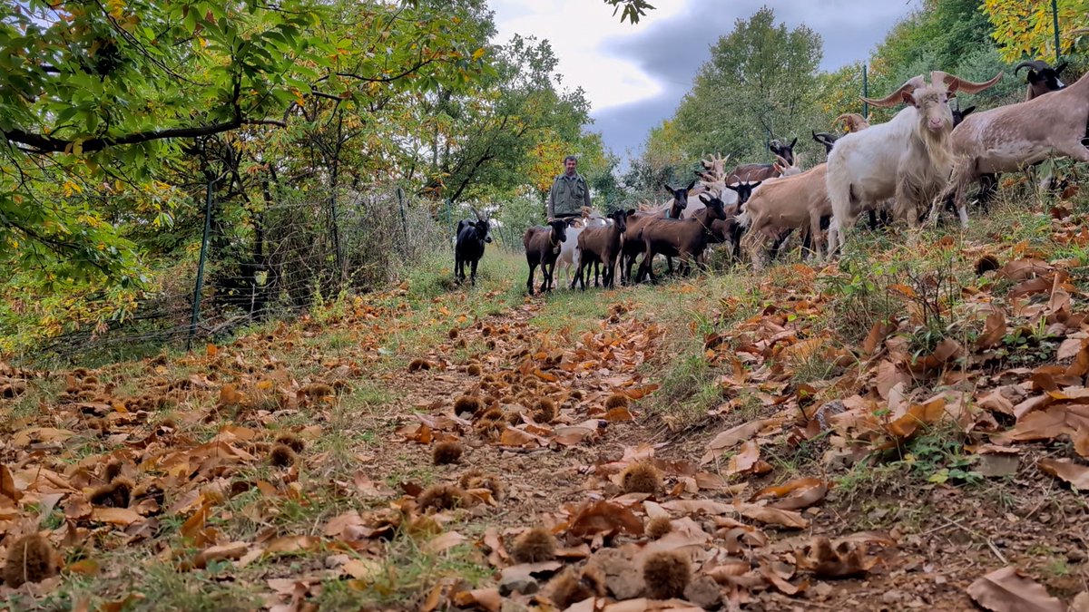 ECOMNEWS tweet media