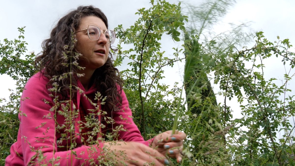 ECOMNEWS tweet media