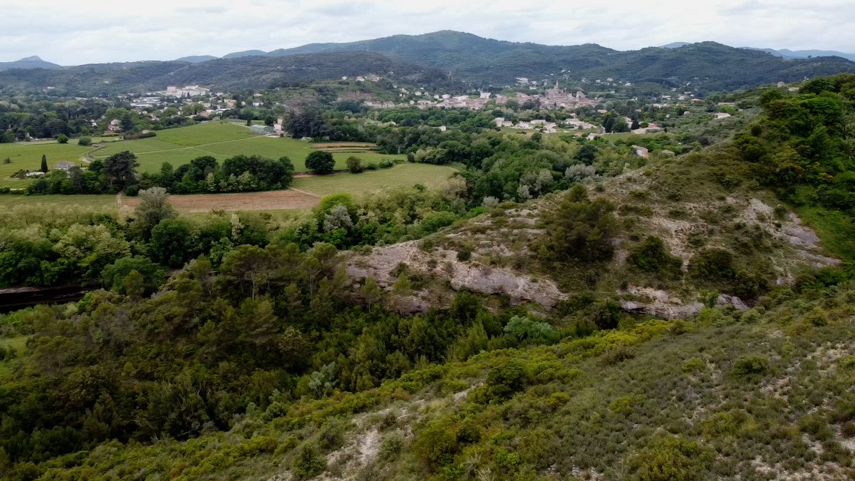 ECOMNEWS tweet media