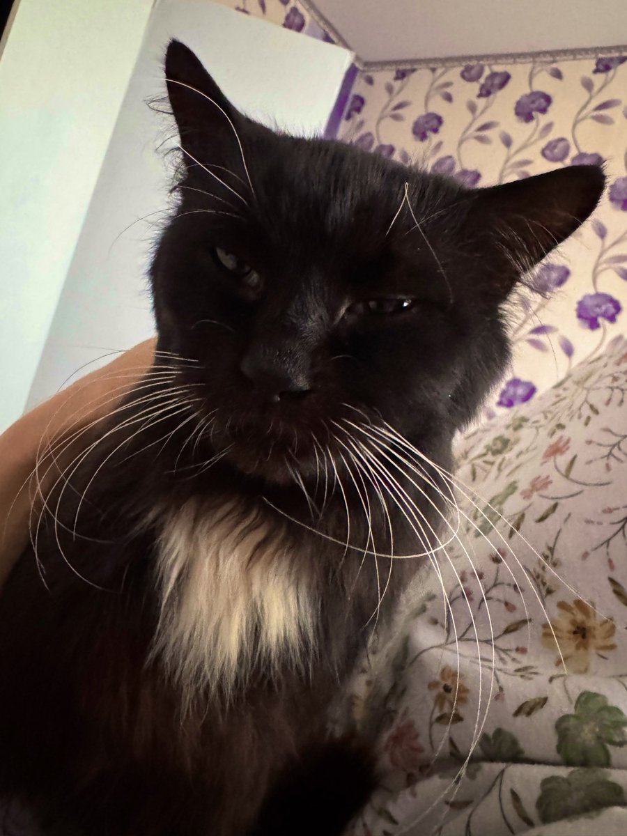 Vasylyna Tyrkus tweet media