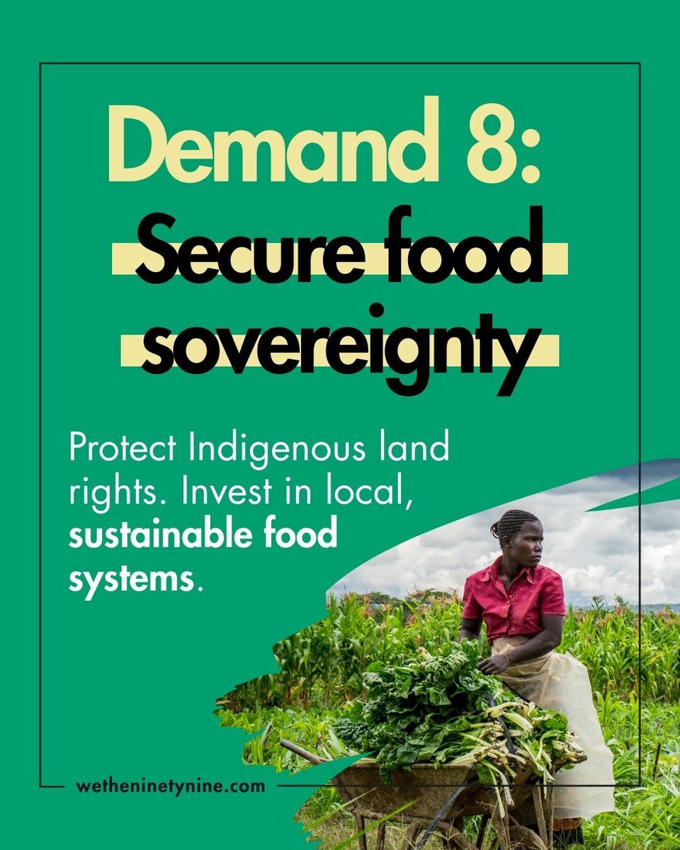 Food is a human right, not a commodity. ​ We demand food sovereignty, Indigenous land rights, and investment in local, sustainable food systems. ​ 🌾  

Read the full Johannesburg We The 99 declaration: wetheninetynine.com/declaration/ 

#FoodSovereignty #WeThe99