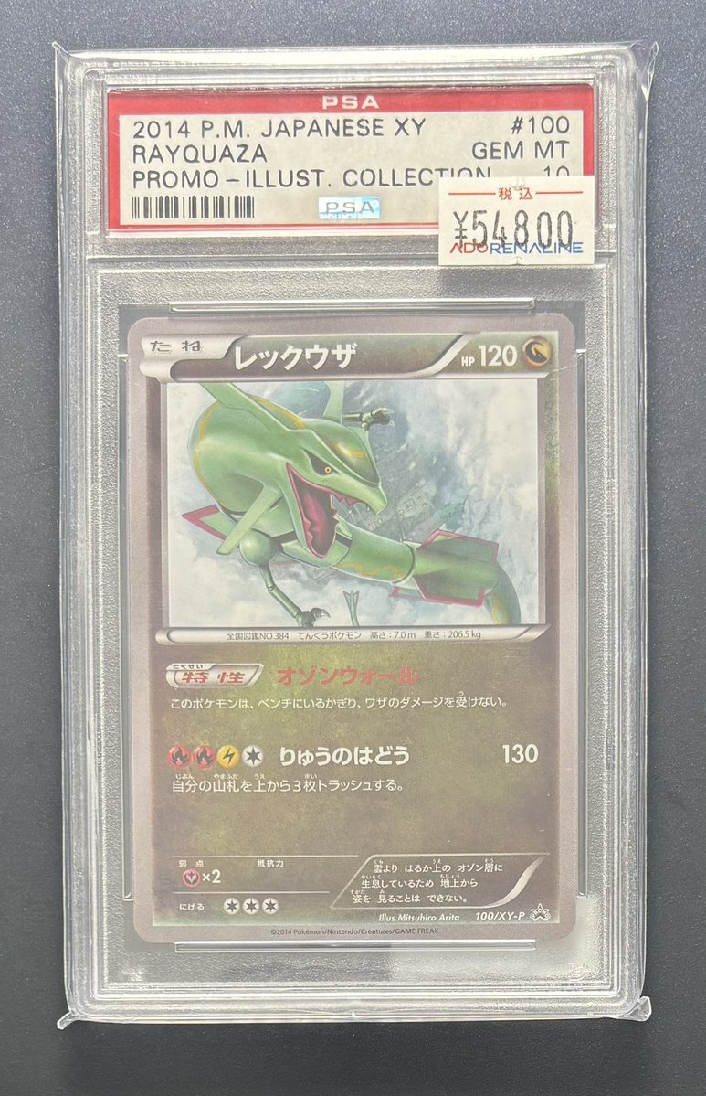 アドレナリン日本橋店 商品紹介📢】 PSA10 イラストコレクション