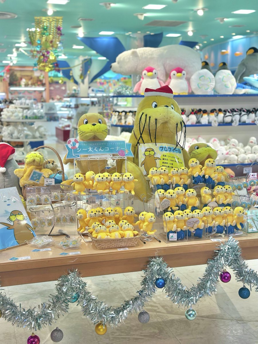 💥💛シーパラ シー太コーナー爆誕💛💥 ついに…ついにできました