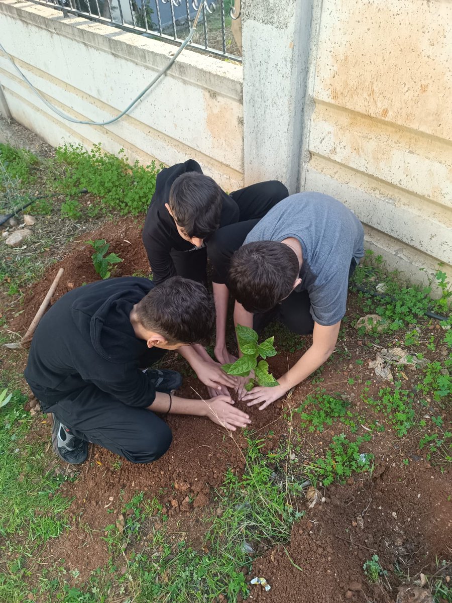 Yeşil Vatan – Benim Okulum Geleceğe ÇARE etkinlikleri kapsamında öğrencilerimizle birlikte okul bahçemizde fidanlarımızı toprakla buluşturduk.
#yeşilvatanseferberligi <a href="/tcmeb/">Millî Eğitim Bakanlığı</a> <a href="/Yusuf__Tekin/">Yusuf Tekin</a> <a href="/valiatillatoros/">Atilla Toros</a> <a href="/Muhammed0744/">Muhammed ÖZDEMİRCİ</a> <a href="/UCARAli79/">Ali UÇAR</a> <a href="/aubal/">Ali Uğur BAL</a> <a href="/MersinValiligi/">Mersin Valiliği</a> <a href="/MersinMEM/">Mersin İl Millî Eğitim Müdürlüğü</a> <a href="/yenisehirmem_33/">Yenişehir İlçe Milli Eğitim Müdürlüğü</a>