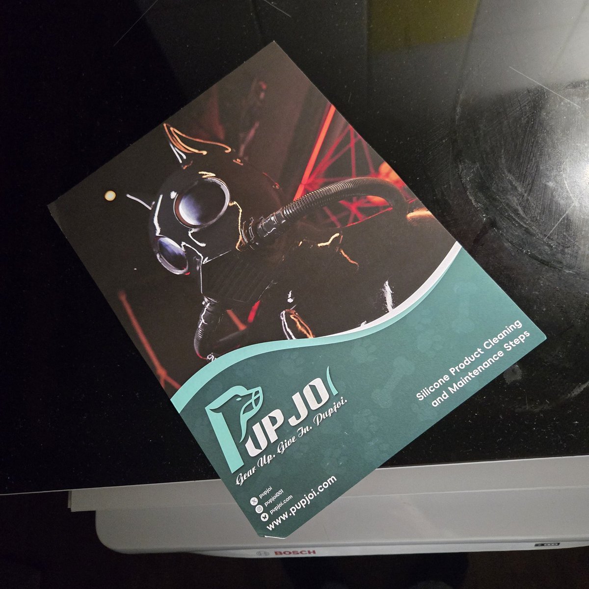 DroolyCorgi's tweet image. More came innnnn 👀👀