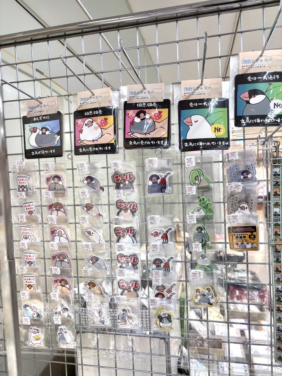 小鳥遊様　オーダー 群馬ことりまつり 明日20日（土）の実演はdot finchさま