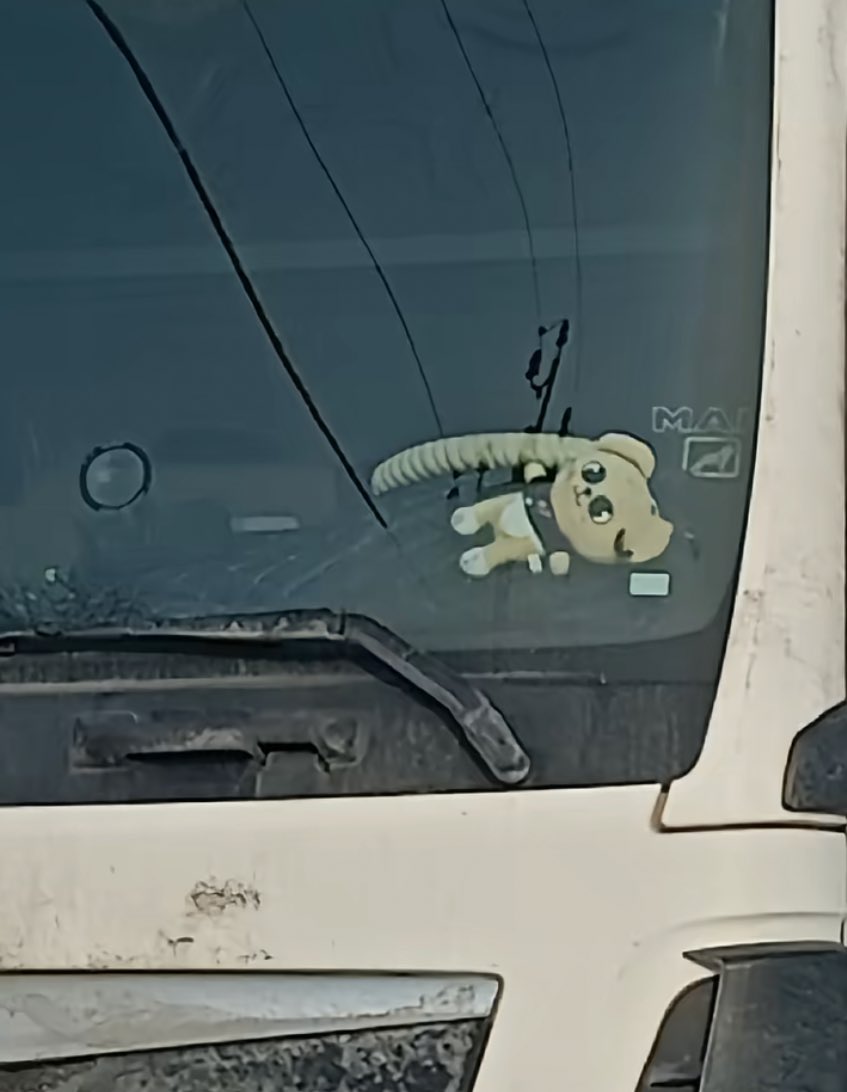 PUPPYM WHAT ARE YOU DOING THERE 😂😂