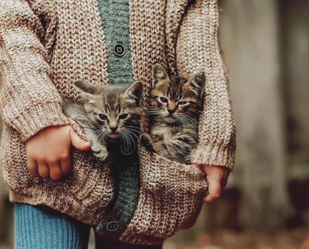 Bugünkü yükünüz sadece sevgi ve mutluluk olsun🥰

#CumamızMübarekOlsun
❤️☕️☕️❤️