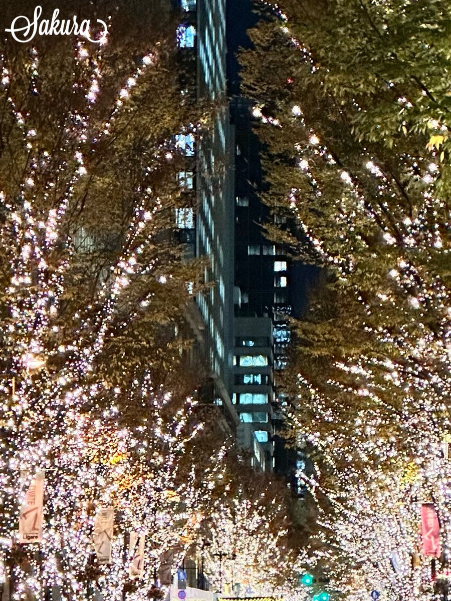 サクラ (@sakura349468) / Posts / X