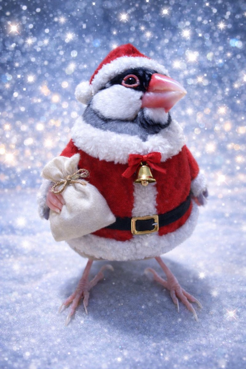 ポポチョロ🐦💨 (@1b4fc39ec9e04d3) / Posts / X