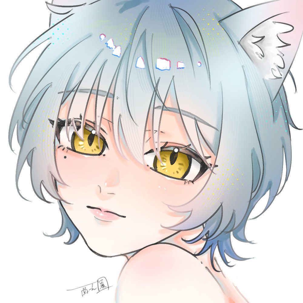 コトリ様ご依頼用 イラスト依頼について】 ✨ご依頼受け付けております✨ 値段やイラスト