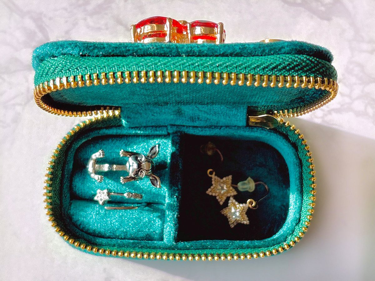 めちゃくちゃ可愛いアクセサリーケースを見つけたので買ってしまった