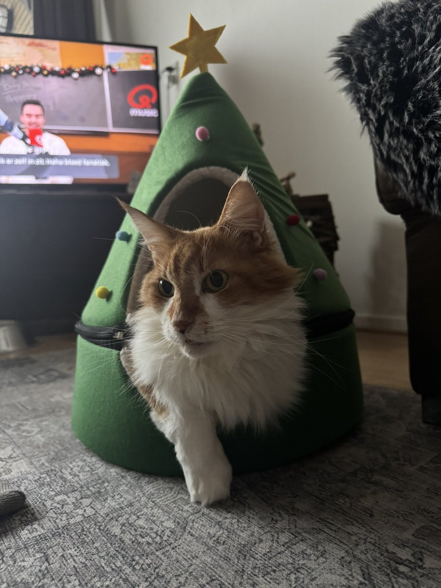 Goedemorgen allemaal! Ben heel blij, personeel is een weekje vrij!