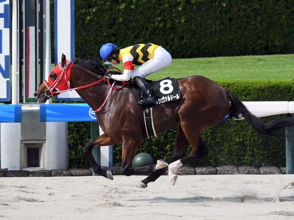 よしお（Y.OTA） (@Yoshioeuphonium) / Posts / X