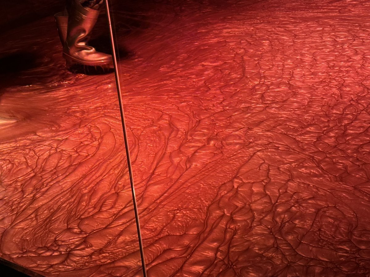 Post by sahisa on X: 長靴エリアいくぜ