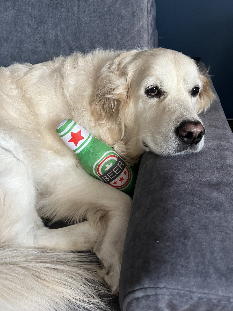 flerken 🪼 tweet media