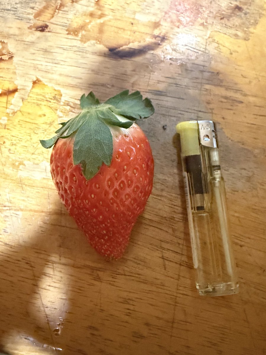 お孫さんにって送ったらおじぃちゃん大喜びで、メロンのお返しで送った絵にお返しが来た…息子の1番好きなフルーツがイチゴの上にすんげーランクのものが来て逆に食べれない