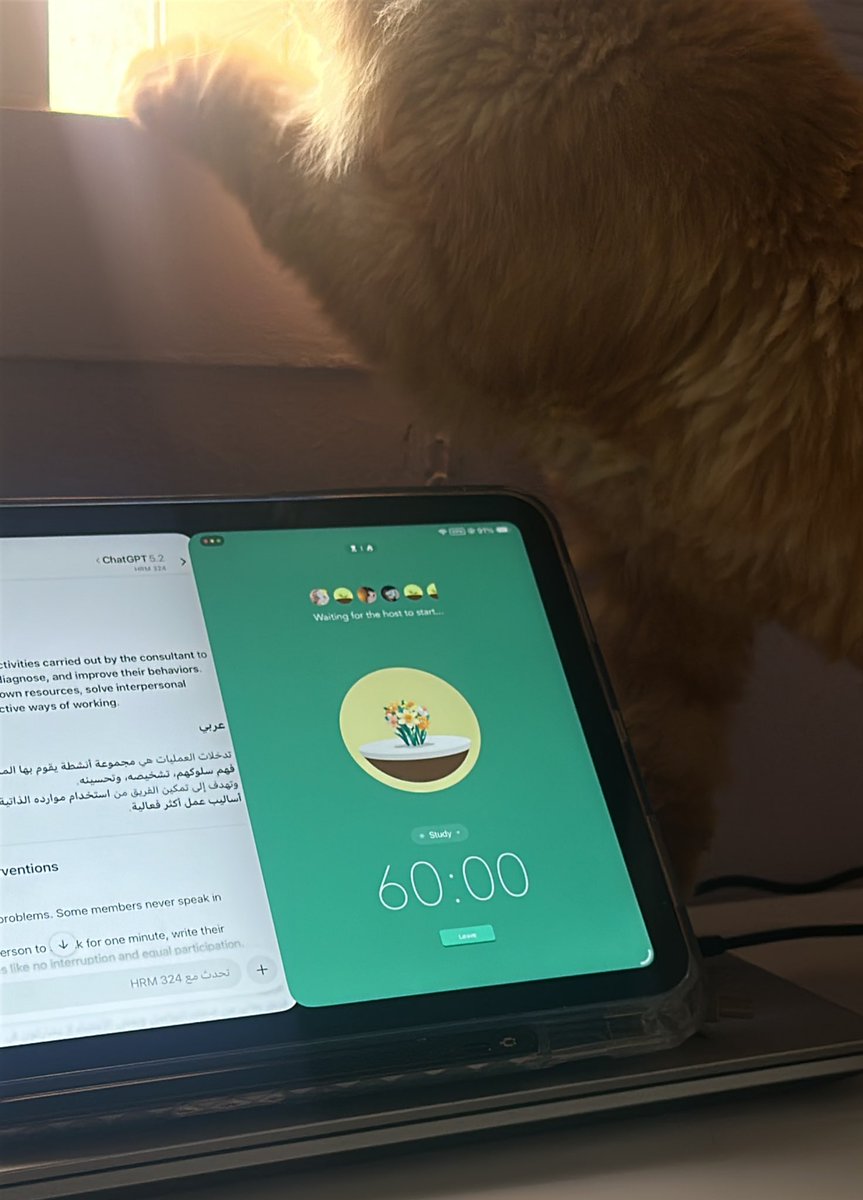 لو بدأ الوقت خلاص حكمل ومارح انام