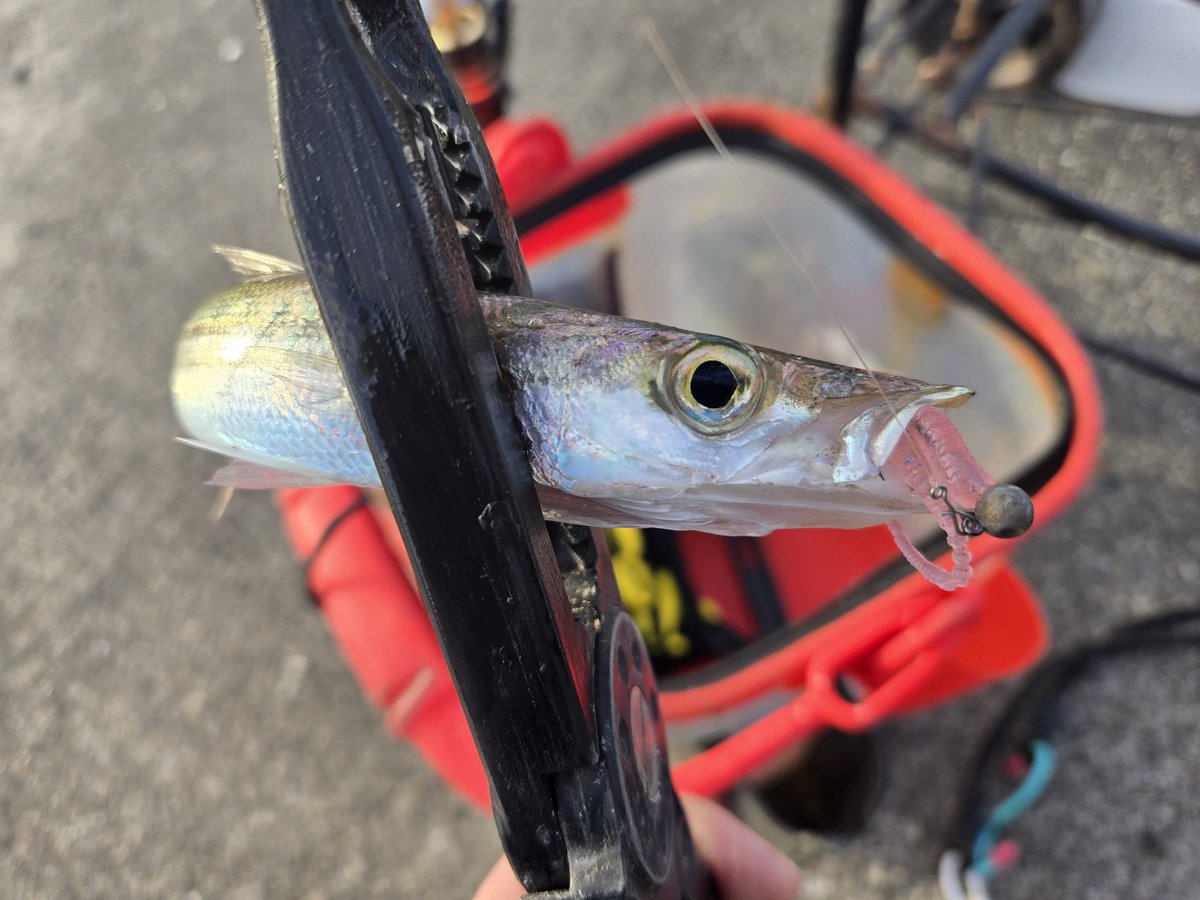 munezou (@MUNEZOU19XX) / Posts and Replies / X