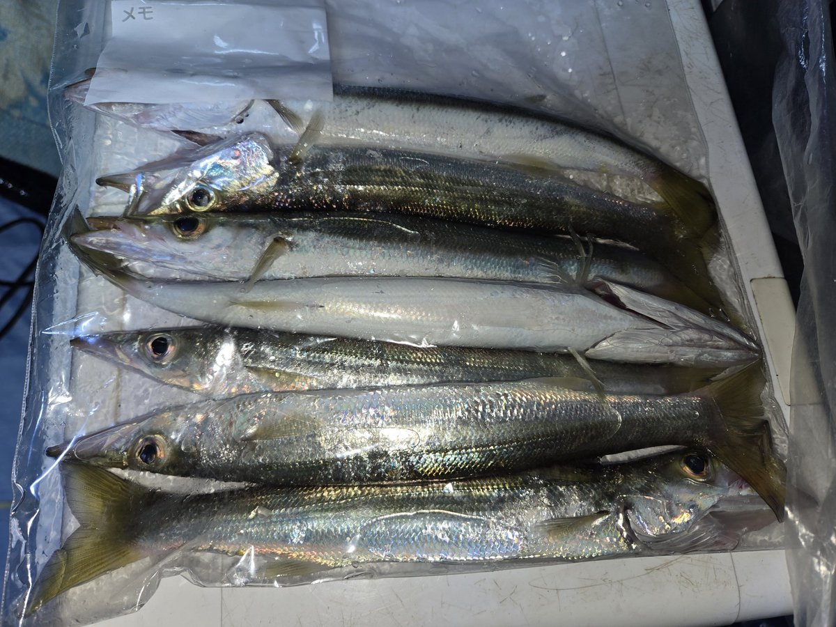 munezou (@MUNEZOU19XX) / Posts and Replies / X