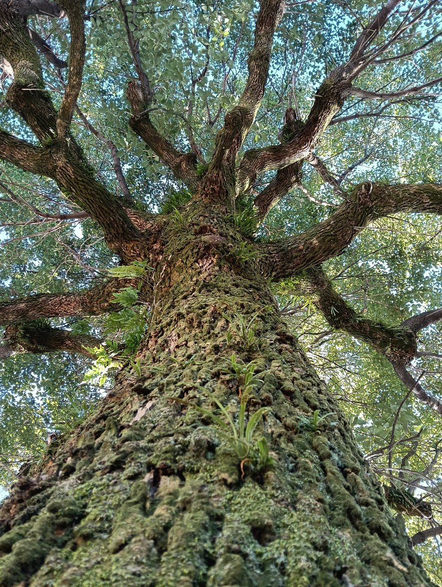 もっさん (@mo301846465) / Posts / X