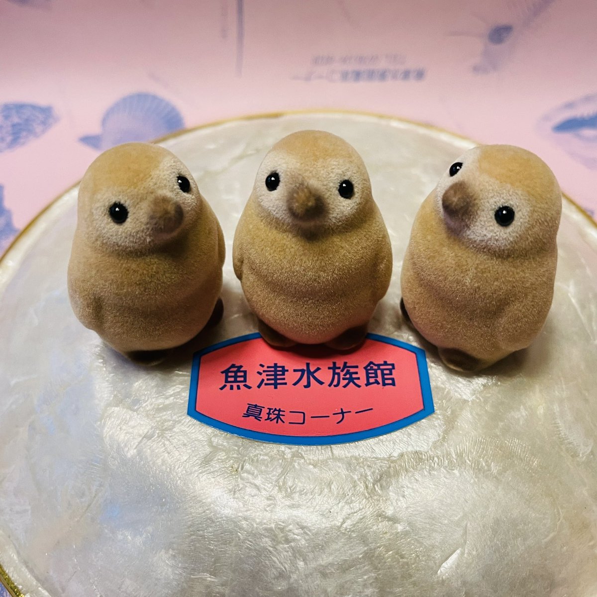 本べっ甲 魚 置物 本べっ甲 魚 置物 本べっ甲 魚 置物 2025年最新】Yahoo!