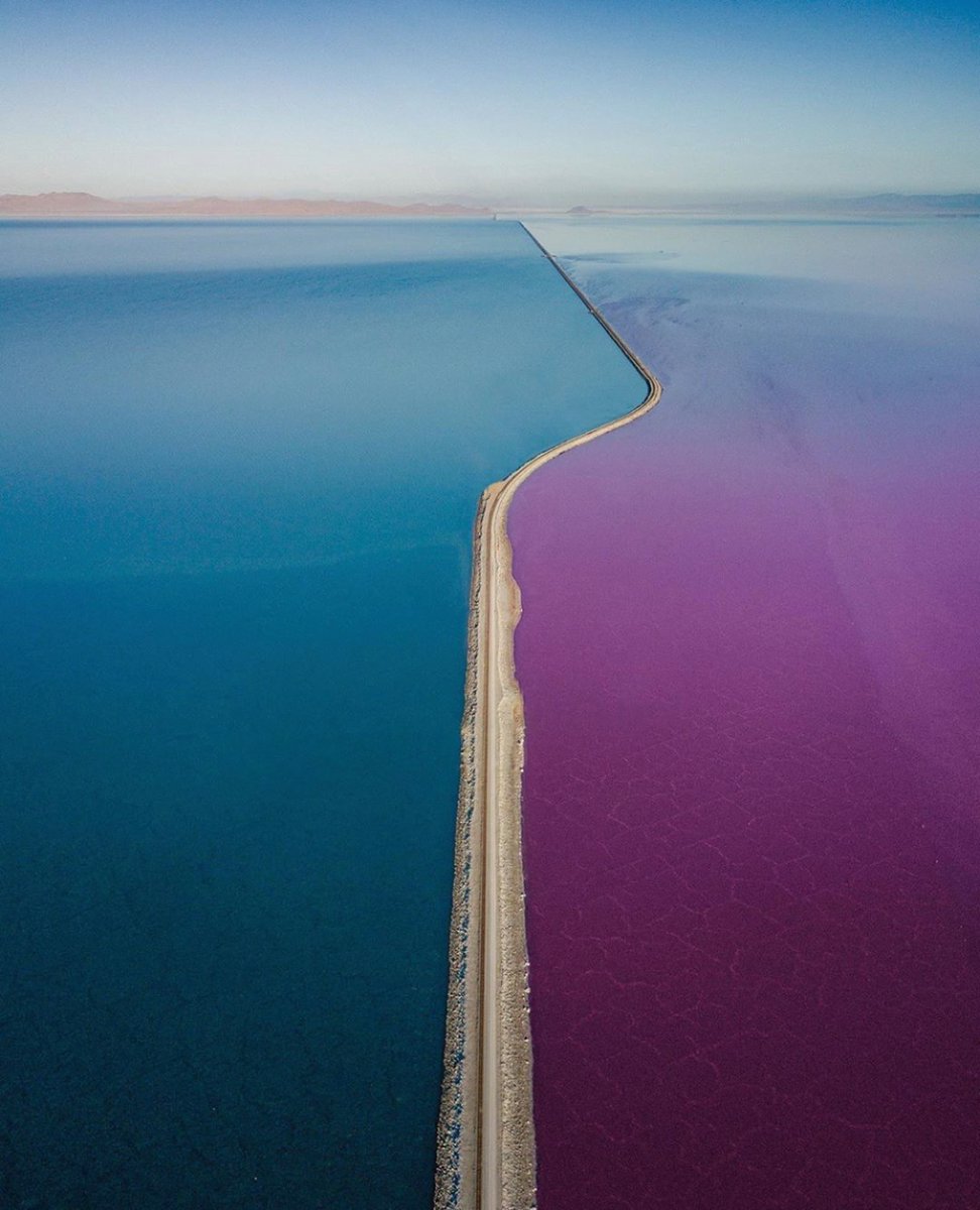 earthcurated's tweet image. The Great Salt Lake in Utah.