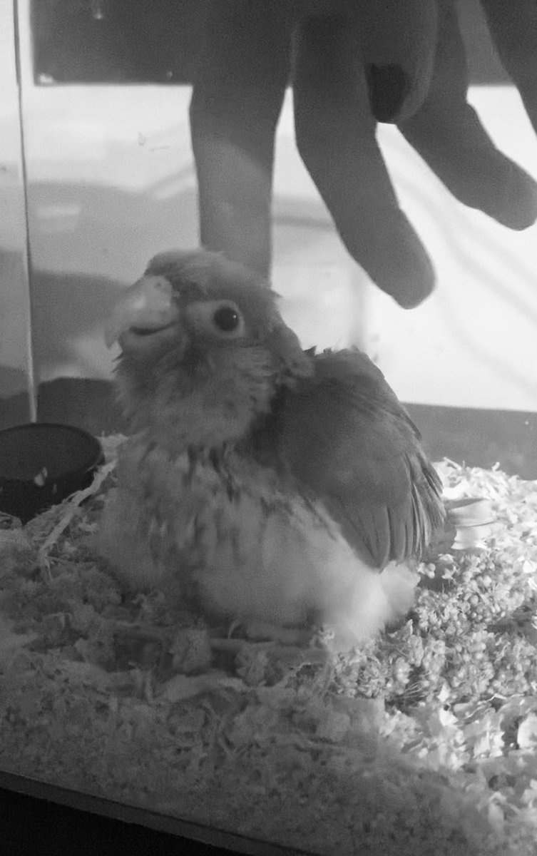 MRexech's tweet image. Un día como hoy…hace 4 años que llegaste a mi vida….