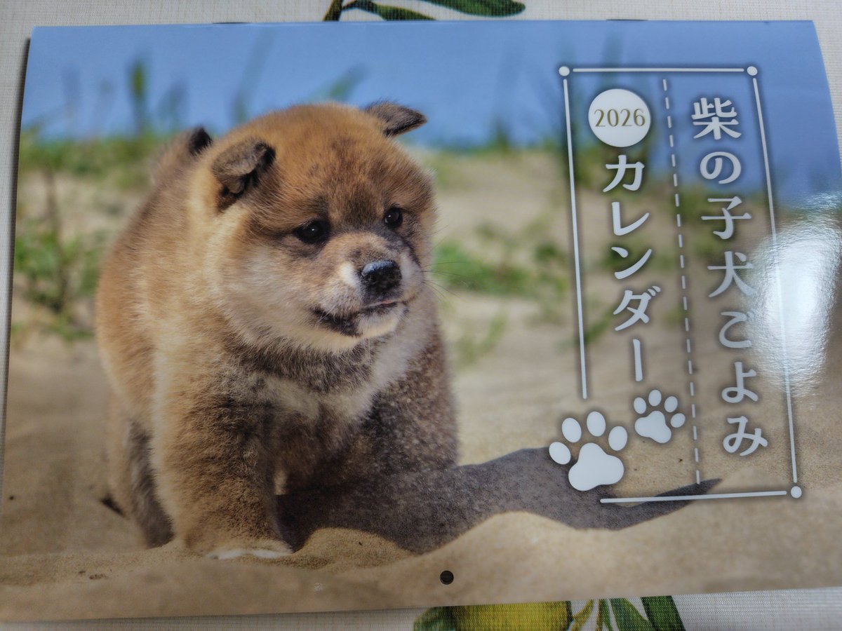 ゾイママ (@KhuZooey) / Posts / X