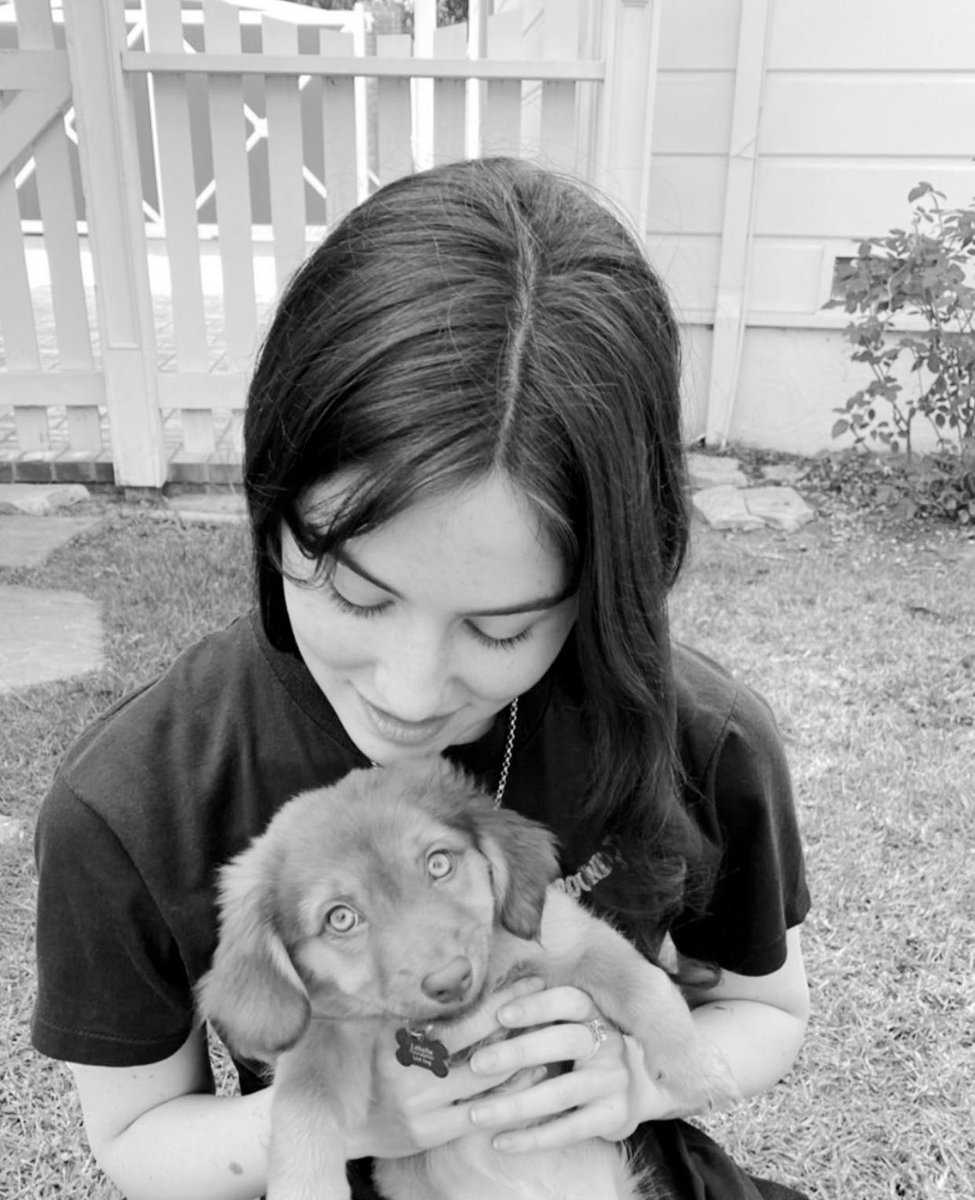 best of gracie abrams (@bestofgracie) on Twitter photo 