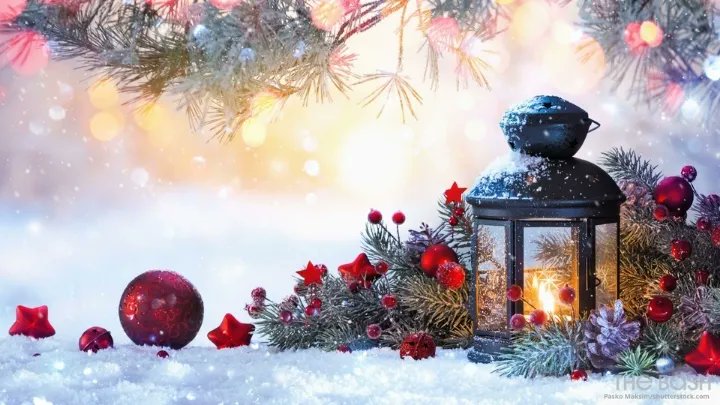 Dunshaughlin C.C. tweet media