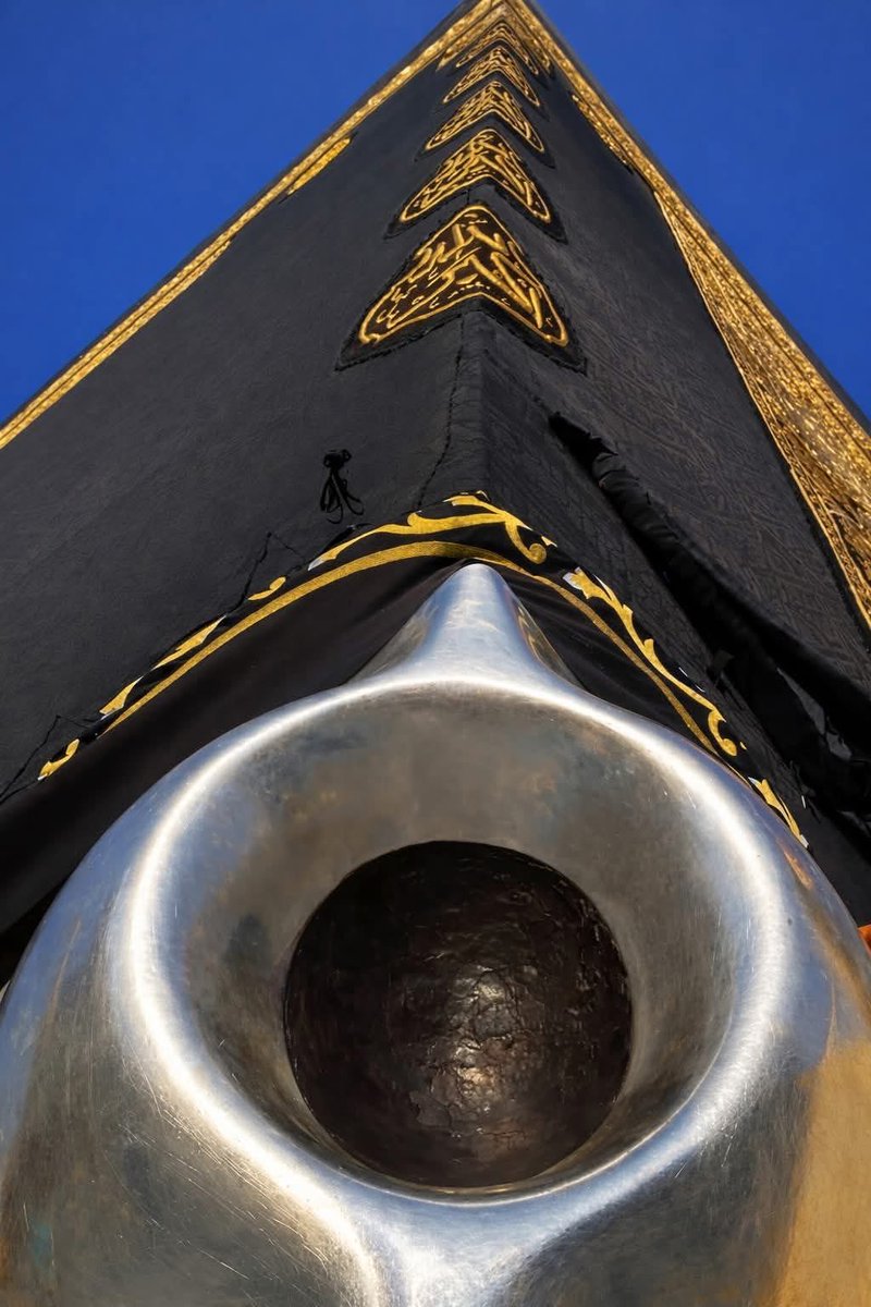 ⨳𝓟𝑇ℋ𝓐𝓝⨳ tweet media