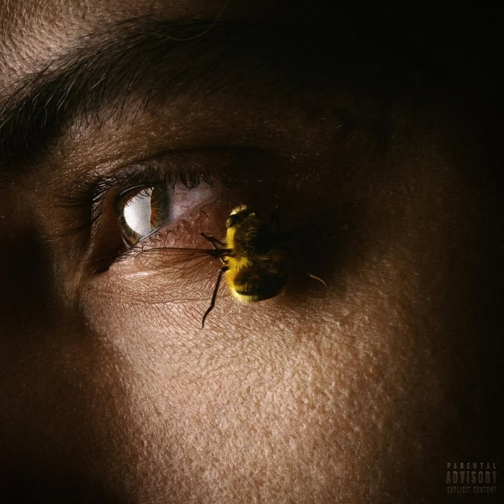 L'Agenda tweet media