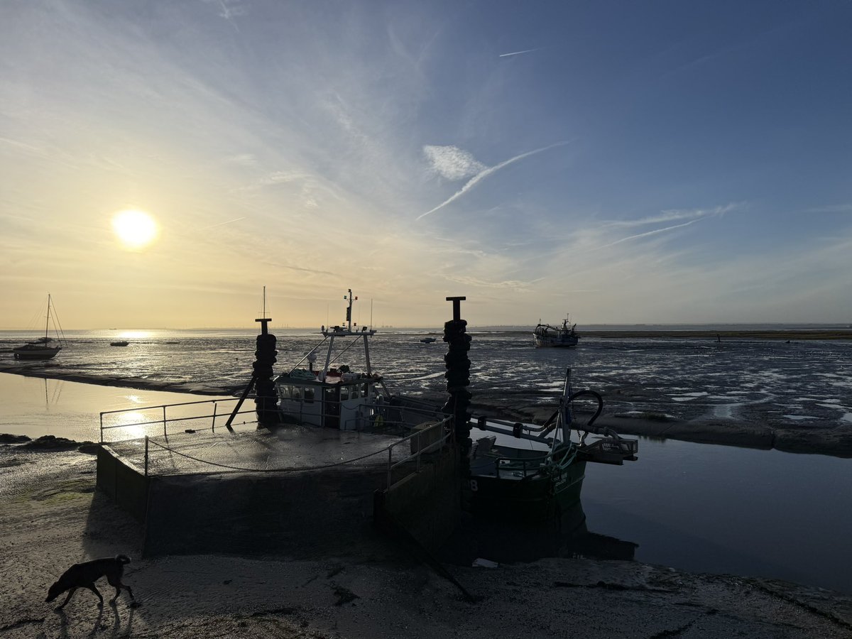 Tim Harvey tweet media