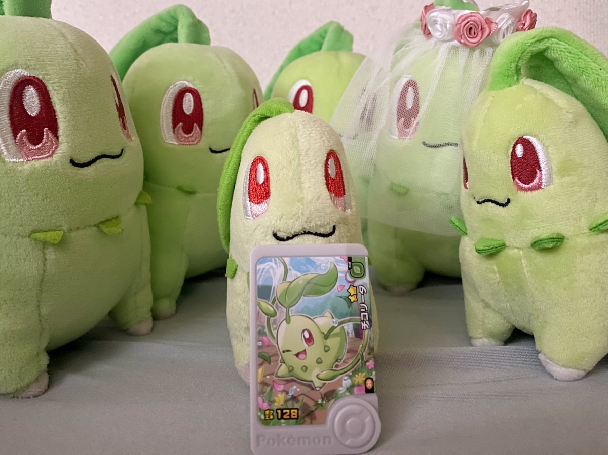 くたくたのチコリータ (@Kutarita09) / Posts / X