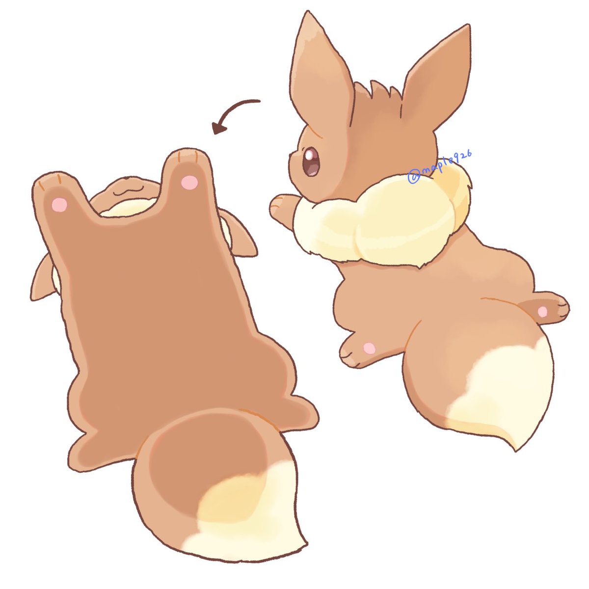 下から見たイーブイ