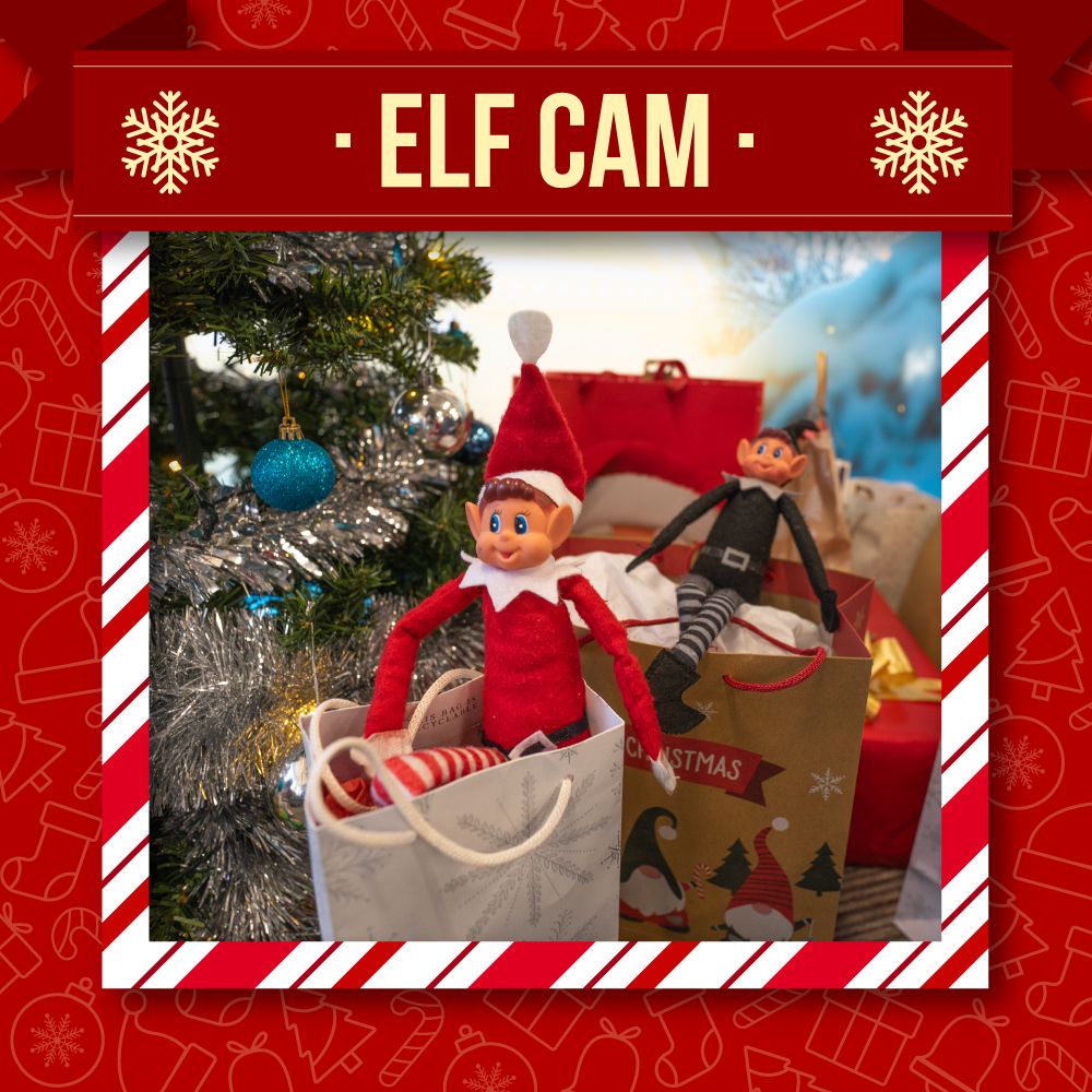 🔴 Elf Cam 🔴

It's their last showing of the year &amp; those cheeky elves have made their way into our Secret Santa gifts!

xldisplays.co.uk

#xldisplays