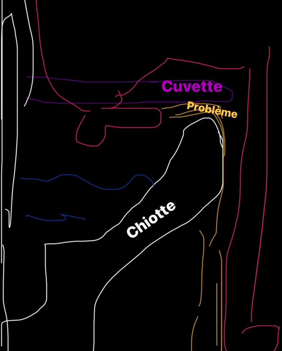 Faucon Alpin 🏔️ tweet media