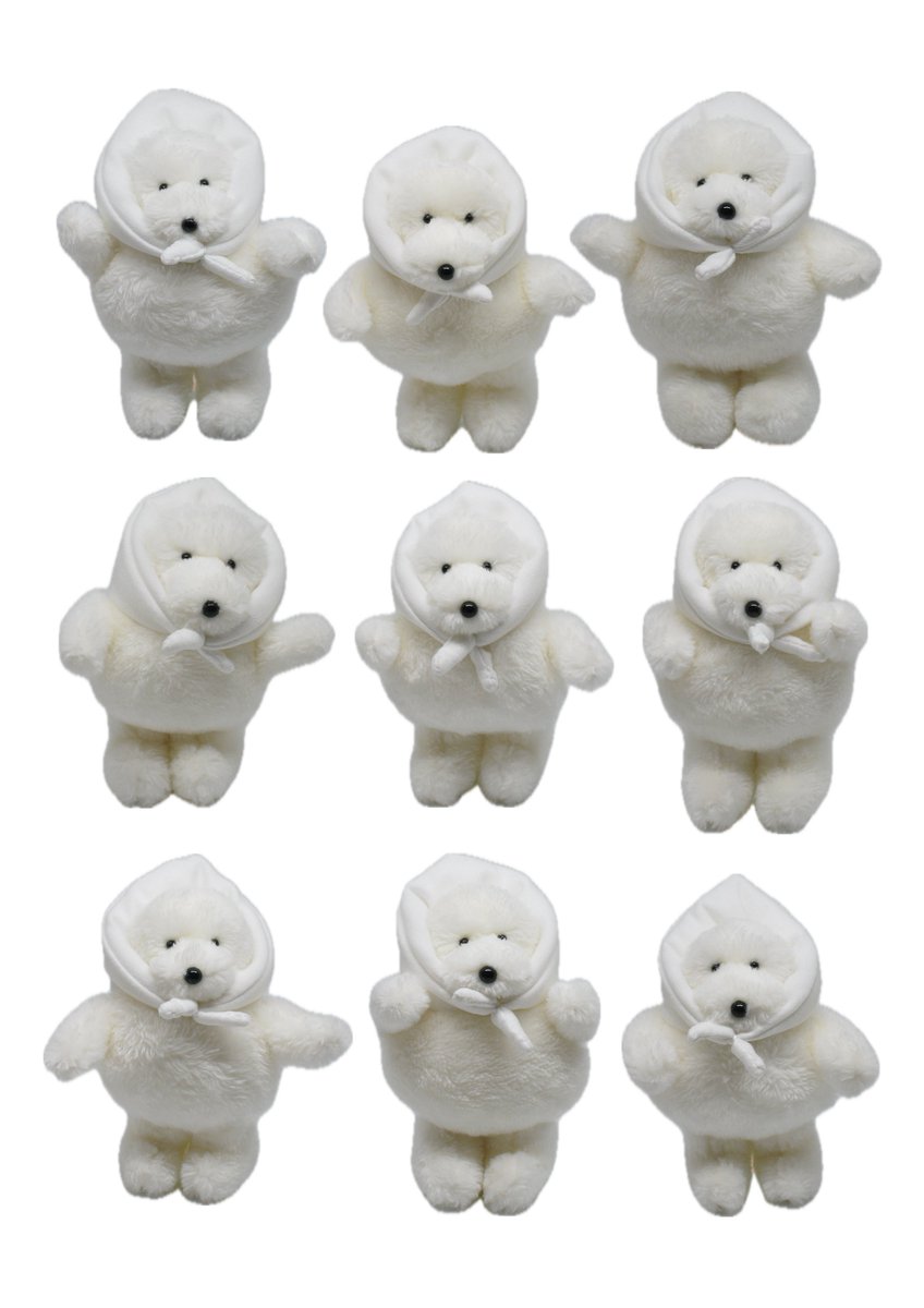 カネヒラ (@simainusima) / Posts / X