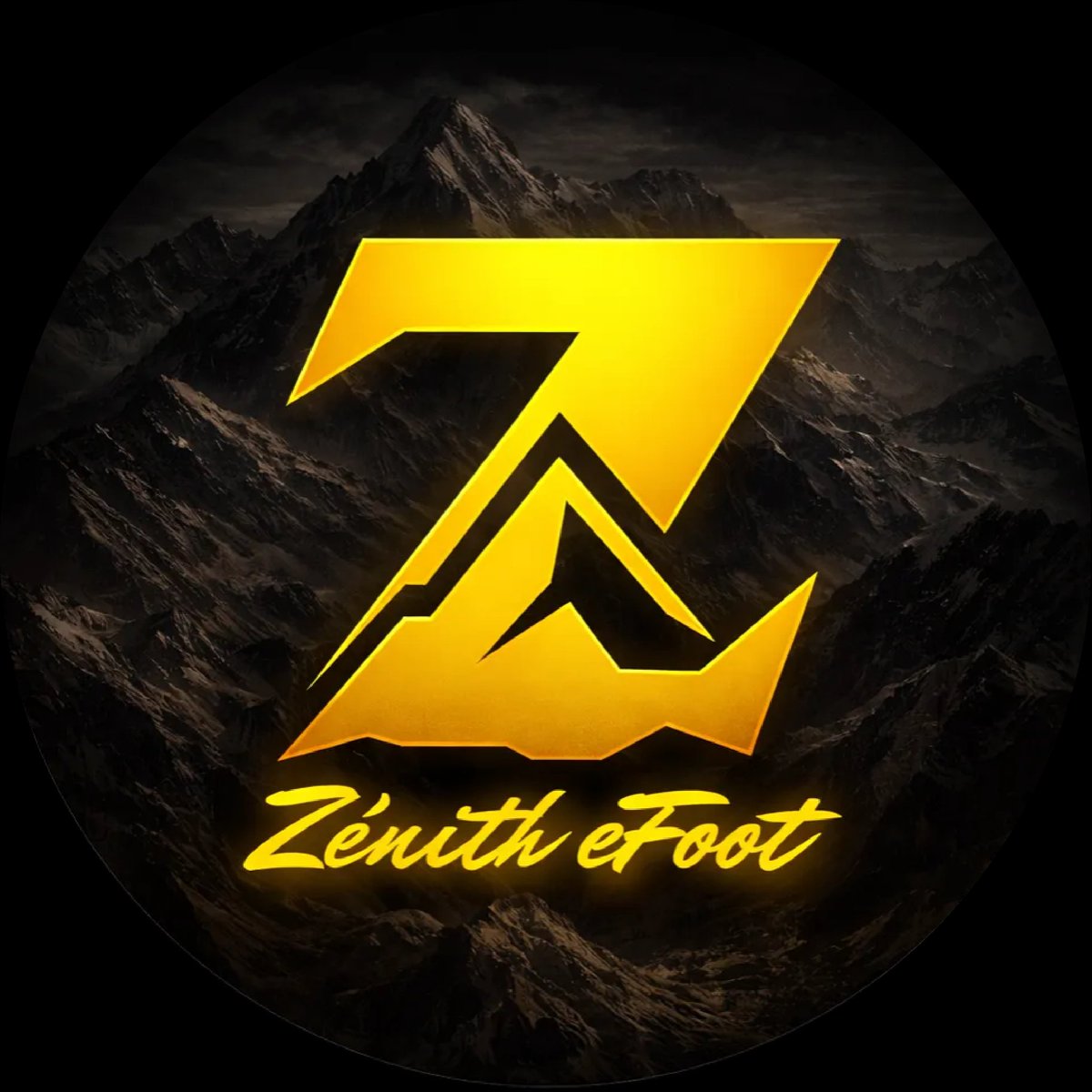 Zénith eSports tweet media
