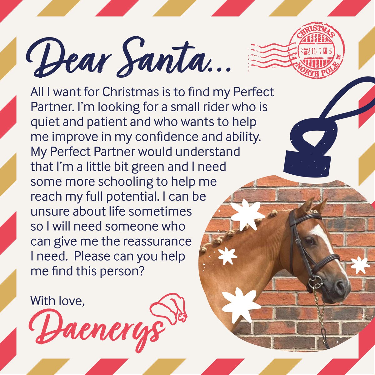 BransbyHorses's tweet photo. Daenerys’ Christmas wish? A quiet, patient rider 🎄🐴

She’s an 8-year-old, 12.2hh chestnut Welsh mare who needs confidence-building &amp; schooling to reach her potential. Could you be her perfect partner? ❤️

👉 https://t.co/2qngOCRDPR 

#Rehoming #PerfectPartner #ChristmasWish https://t.co/7gO3cEwyOC