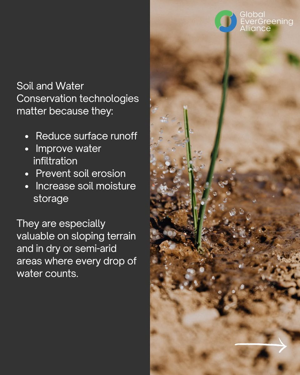 AgroWithJohn's tweet photo. #agriculture 
#farmlife https://t.co/UWSQCZ0CHr