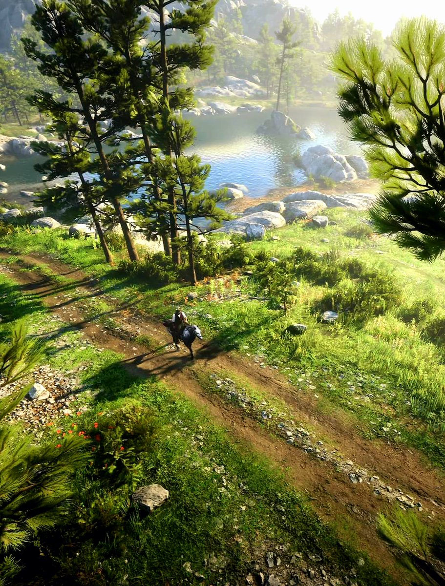 Keng_console's tweet image. Red Dead Redemption 2 🌲🌿

PS5Pro.