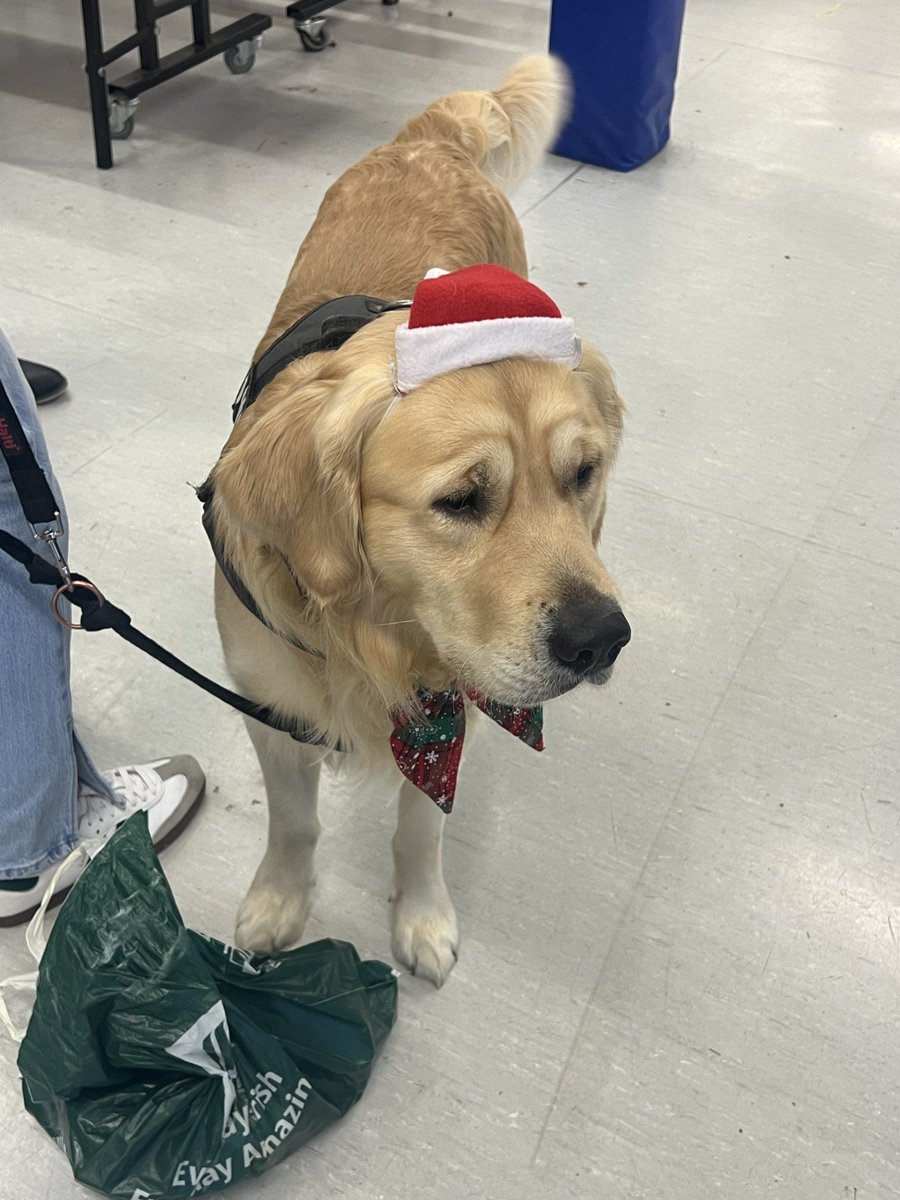 Luttrellstown CC tweet media