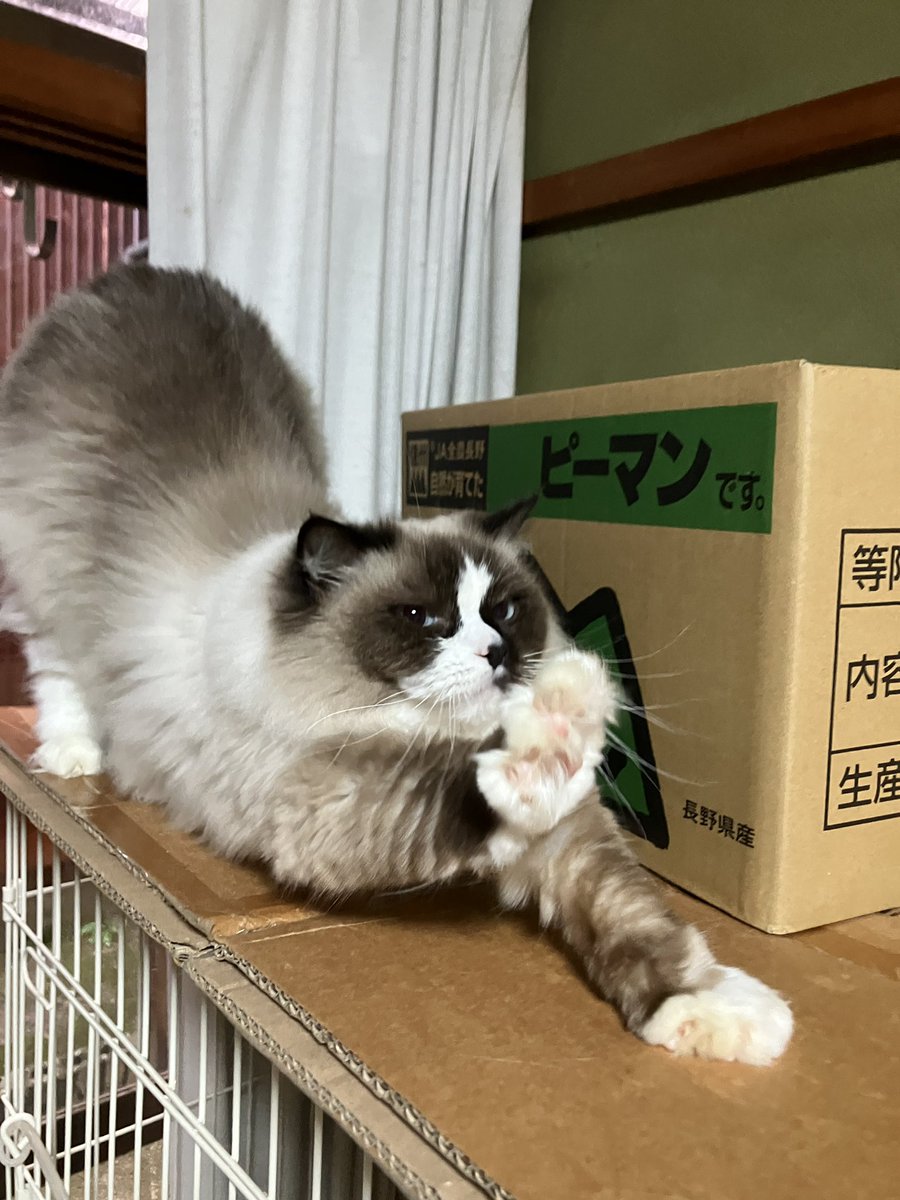 s44jll's tweet photo. https://t.co/nsH909Oxia