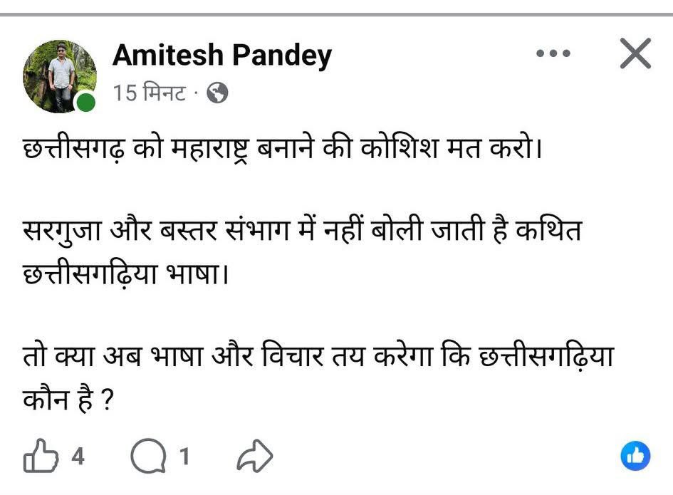 यह कहना कि सरगुजा और बस्तर में छत्तीसगढ़ी नहीं बोली जाती, सरासर भ्रामक और अधूरा सच है। छत्तीसगढ़ी कोई एकरंगी, एकरूप भाषा नहीं, बल्कि एक भाषाई परिवार है। सरगुजा में सरगुजिहा, बस्तर में हलबी, भतरी, दोरली ये सब उसी छत्तीसगढ़ी भाषिक परंपरा की शाखाएँ हैं। क्या अवधी, ब्रज, भोजपुरी