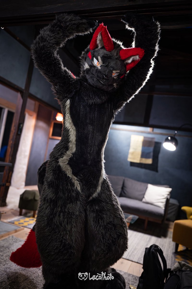 今夜は何しようか？
#FursuitFriday